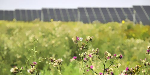 0.27元/千瓦时:德国太阳能招标中标价创最低纪录